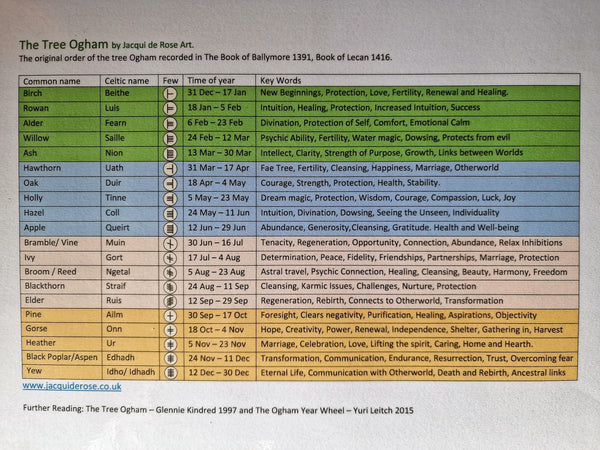 Card - 7 x 5" - A - Ogham Tree - 2 Rowan