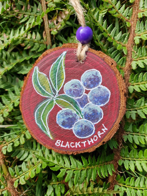 OghamTree Calendar - 14 - Blackthorn - Aug 24 to Sep 11