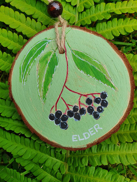 OghamTree Calendar - 15 - Elder - Sep 12 to Sep 29