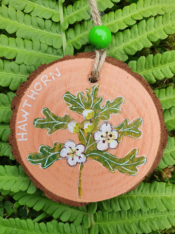 Ogham Tree Calendar - 06- Hawthorn - Mar 31 - Apr 17