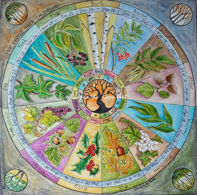 6" x 6" - Pagan - Celtic Tree Calendar