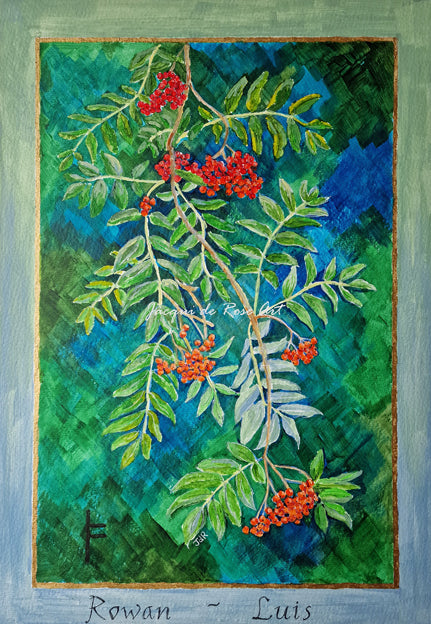 A4 Open Edition Fine Art Print - Ogham Tree 2 Rowan