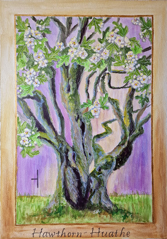 A4 Open Edition Fine Art Print - Ogham Tree 5 Hawthorn
