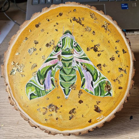 A - Hand painted Wood Slice - Native Moths - 18cm