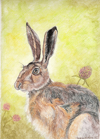 Card - 7 x 5" - Animal - Hare